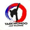Taekwondo JAB TRAINING